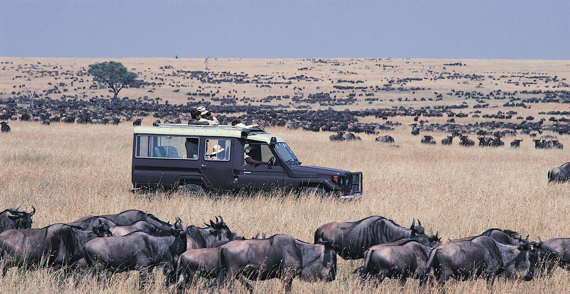 Maasai Mara