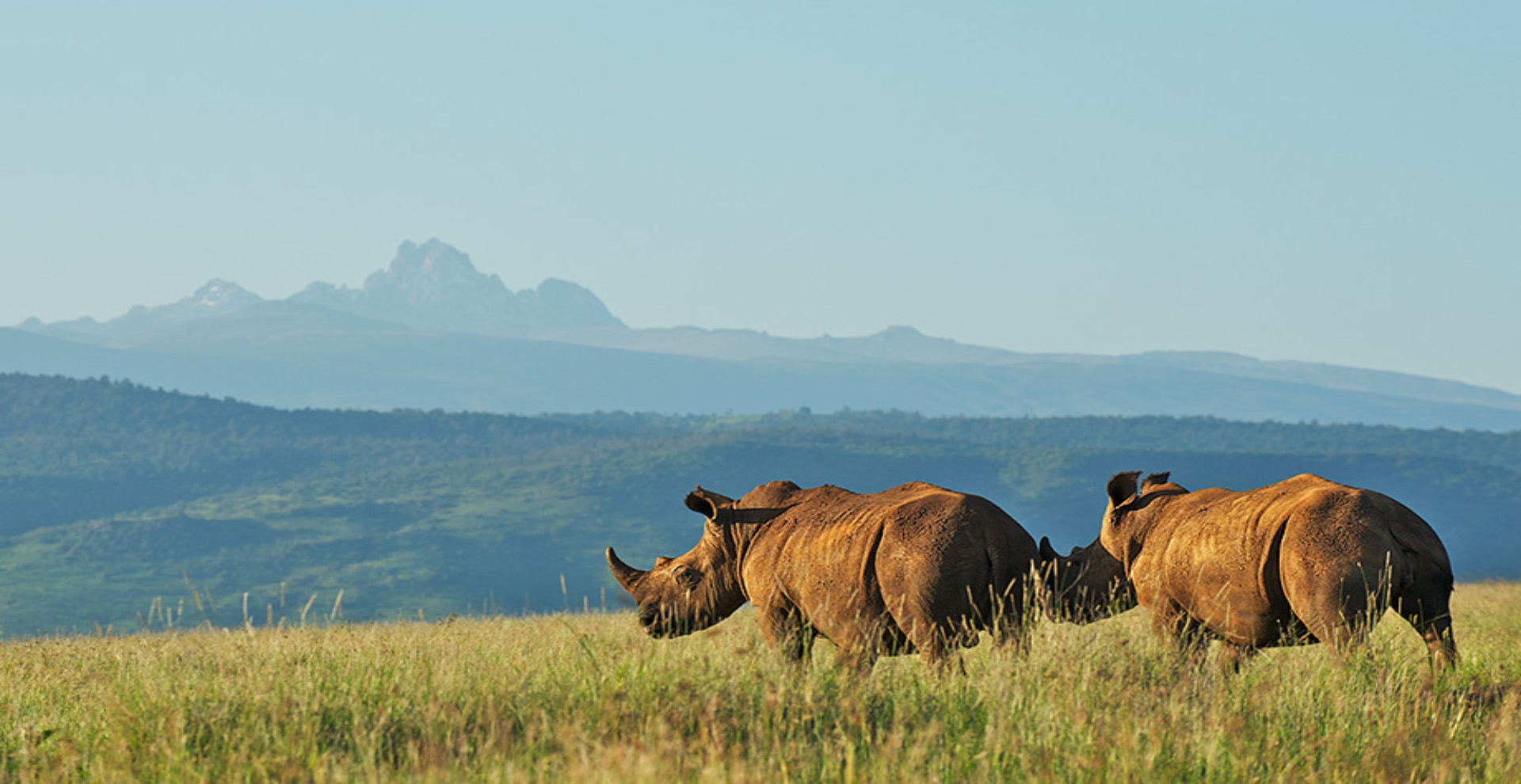 Mount Kenya